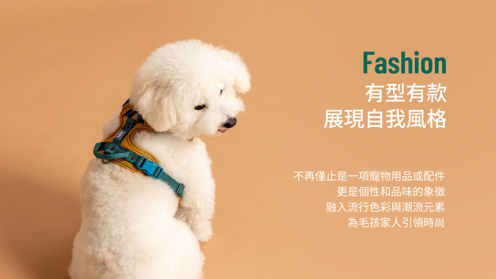 HORHORJOY Harness - Stylish