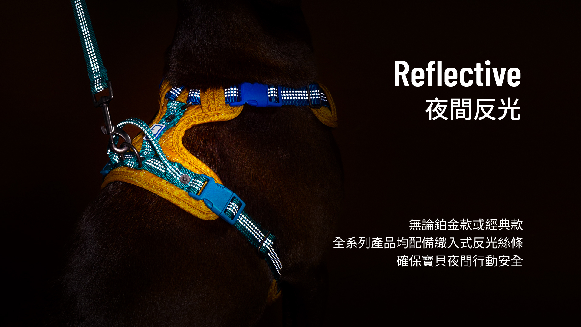 HORHORJOY Harness - Reflective