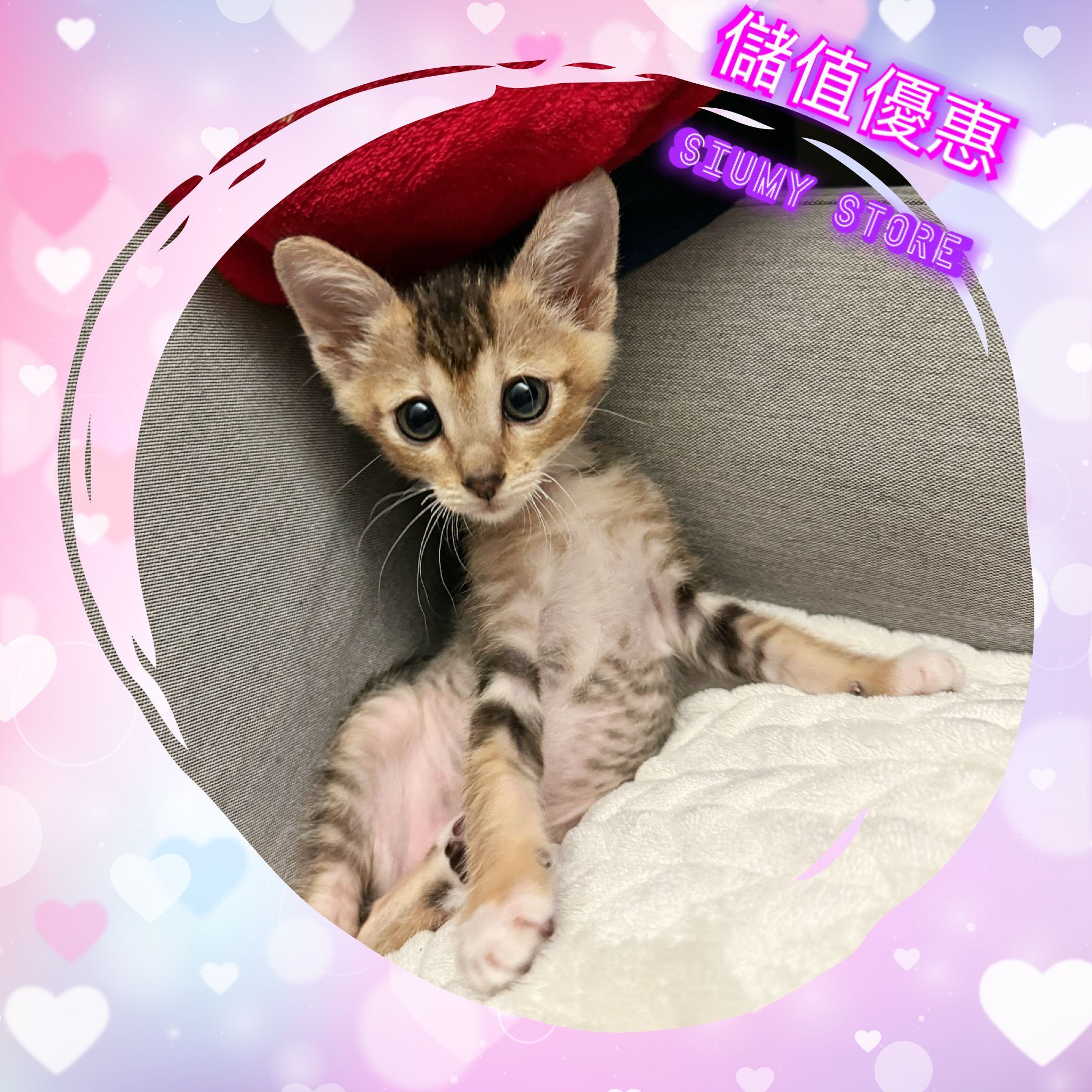 Siumy Store 購物金儲值 - 8月