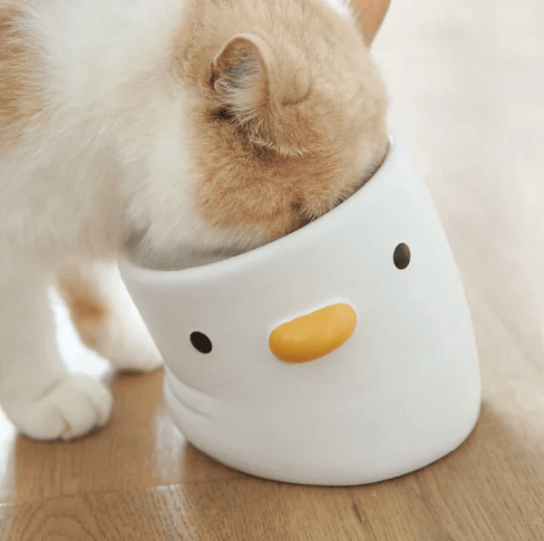 【限定8折】陶瓷小雞護頸貓碗