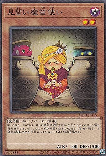 DR01-JPA15 見習い魔笛使い(見習魔笛使)