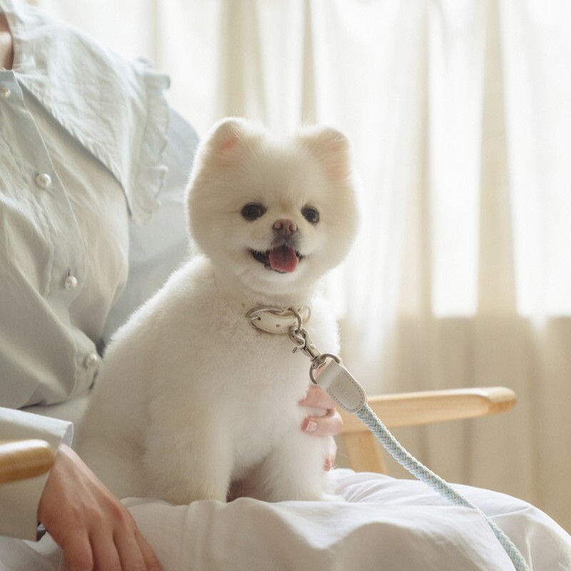 Stroll 經典編織皮革項圈 (蘇打藍)