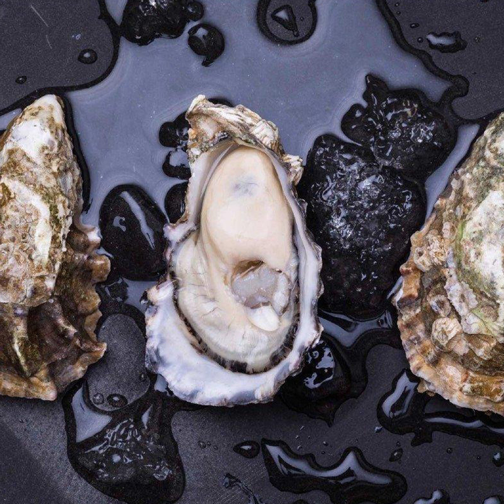 澳洲 Unichi Zinc Plus Oyster 鋅加牡蠣精華膠囊(60粒)