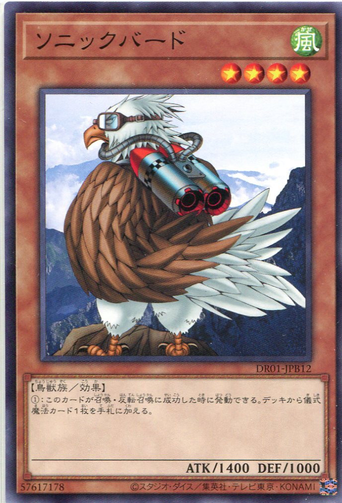 DR01-JPB12 ソニックバード(音速鳥)