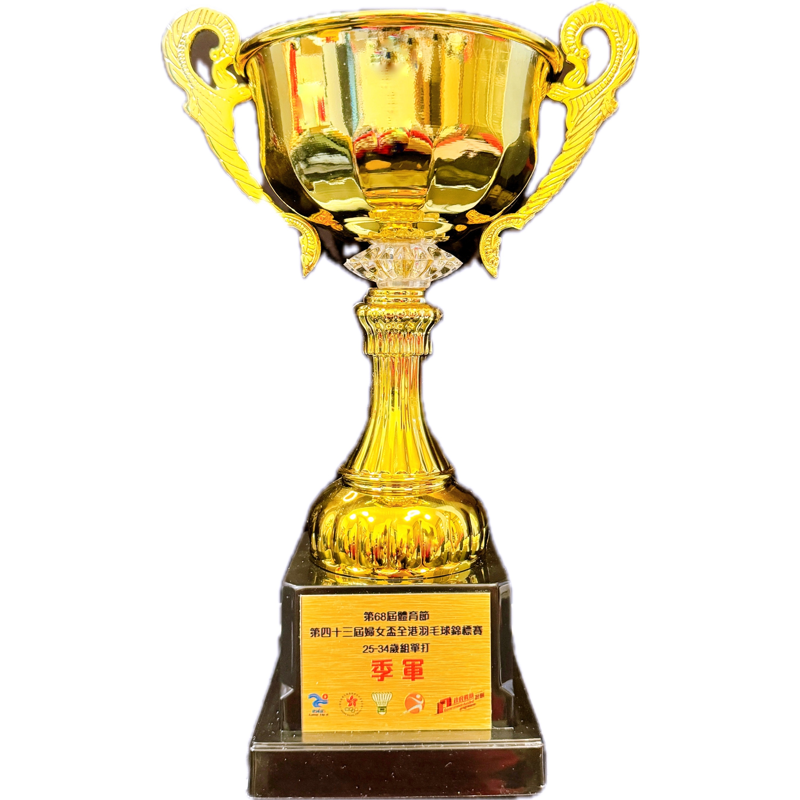 第68屆體育節, 第三十四屆婦女盃全港羽毛球錦標賽, 25-34歲組, 單打