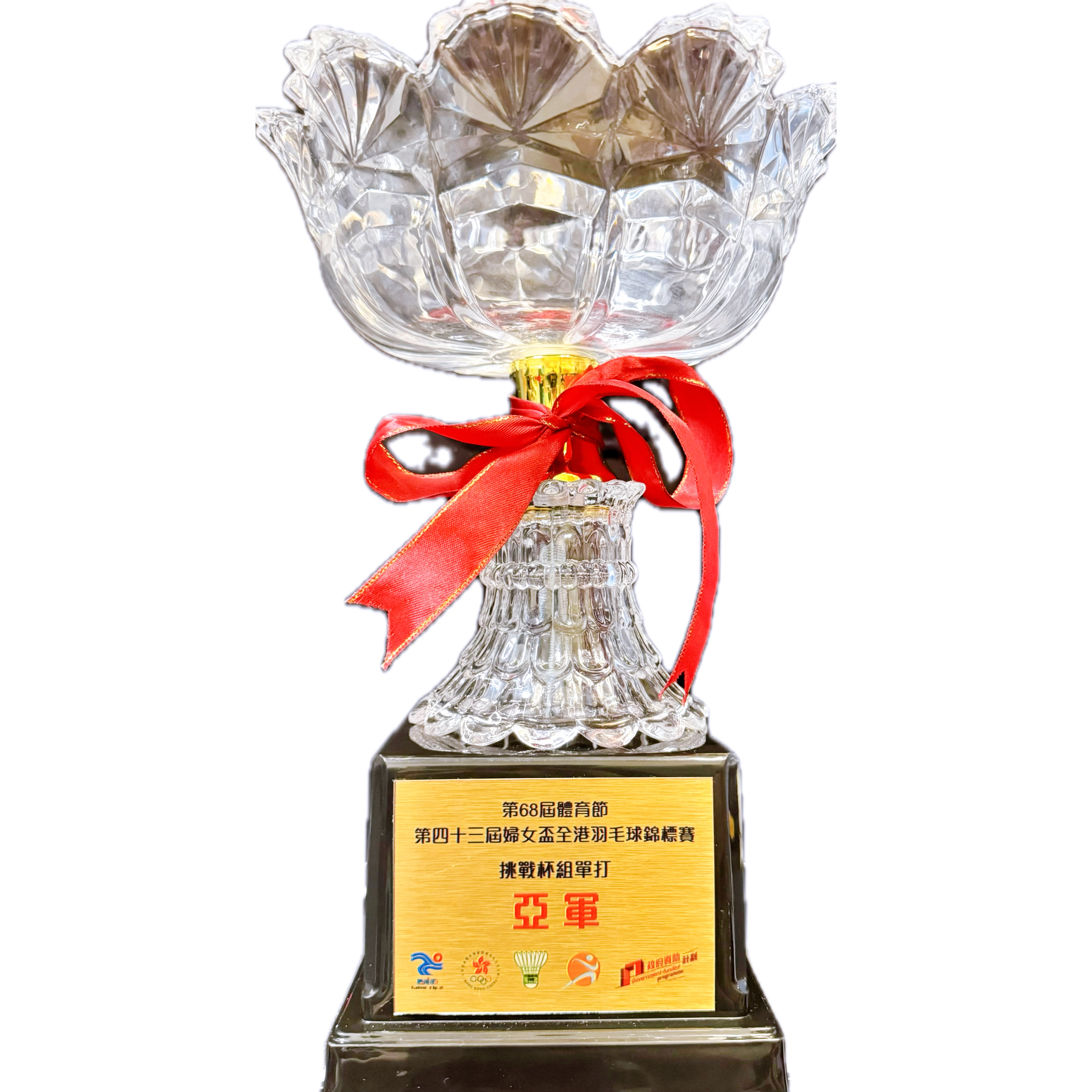 第68屆體育節,第三十四屆婦女盃全港羽毛球錦標賽, 挑戰杯組, 單打