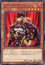 DR01-JPC09 コマンド・ナイト(指揮騎士)