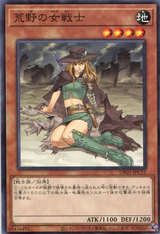 DR01-JPC12 荒野の女戦士(荒野的女戰士)