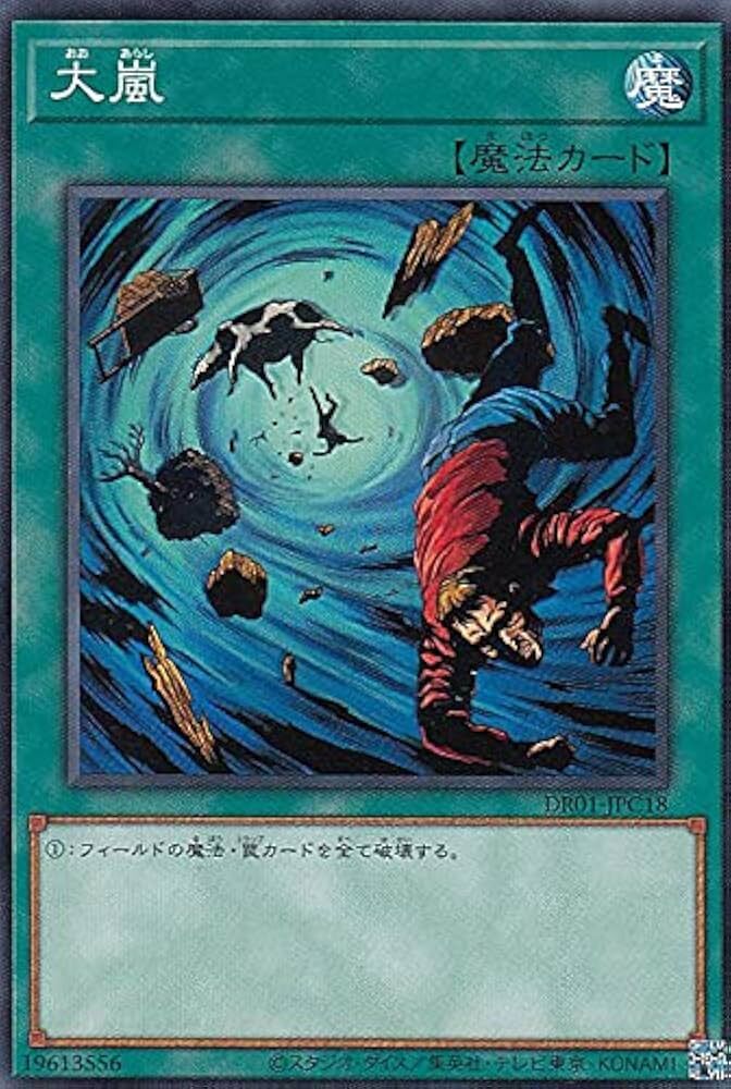 DR01-JPC18 大嵐(大風暴)