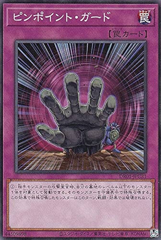 DR01-JPC31 ピンポイント・ガード(精確防御)