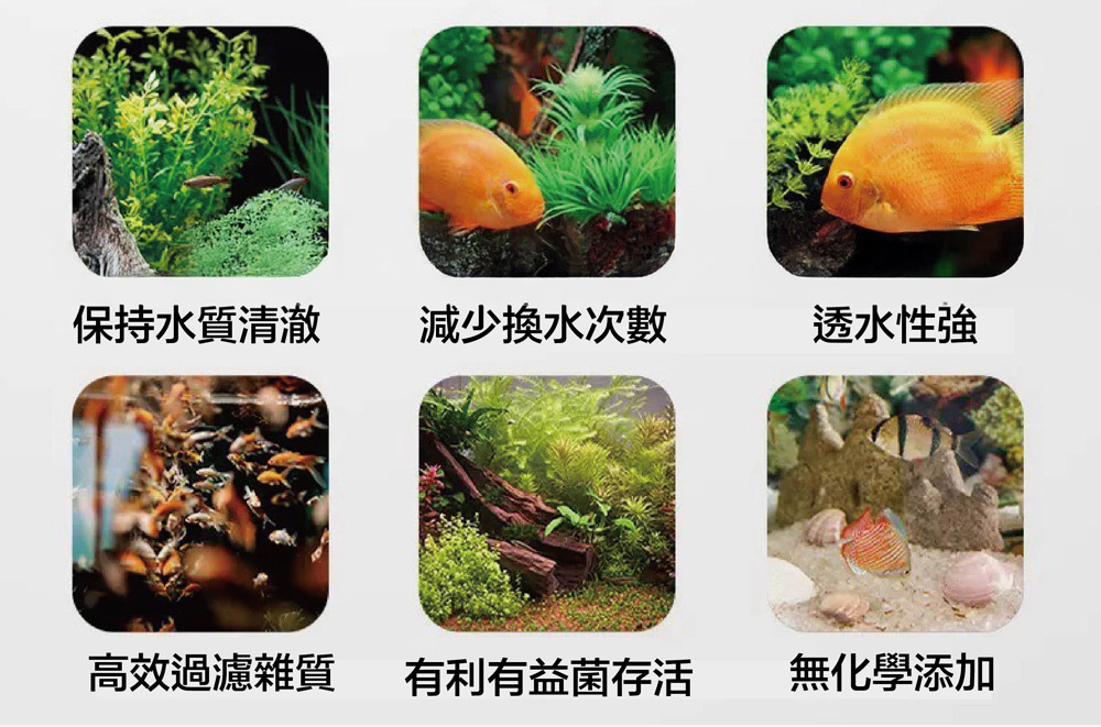 促進硝化菌生長,有效抑制青苔與病菌,強化魚隻免疫力,減少疾病發生,讓魚缸水質長保清新