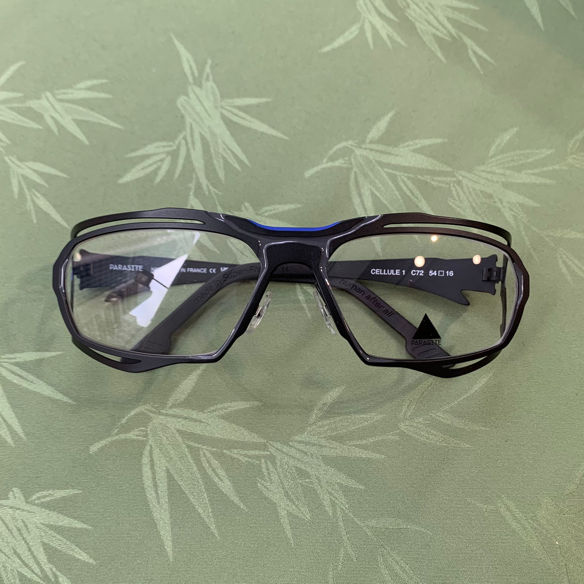 PARASITE CELLULE 1 C72