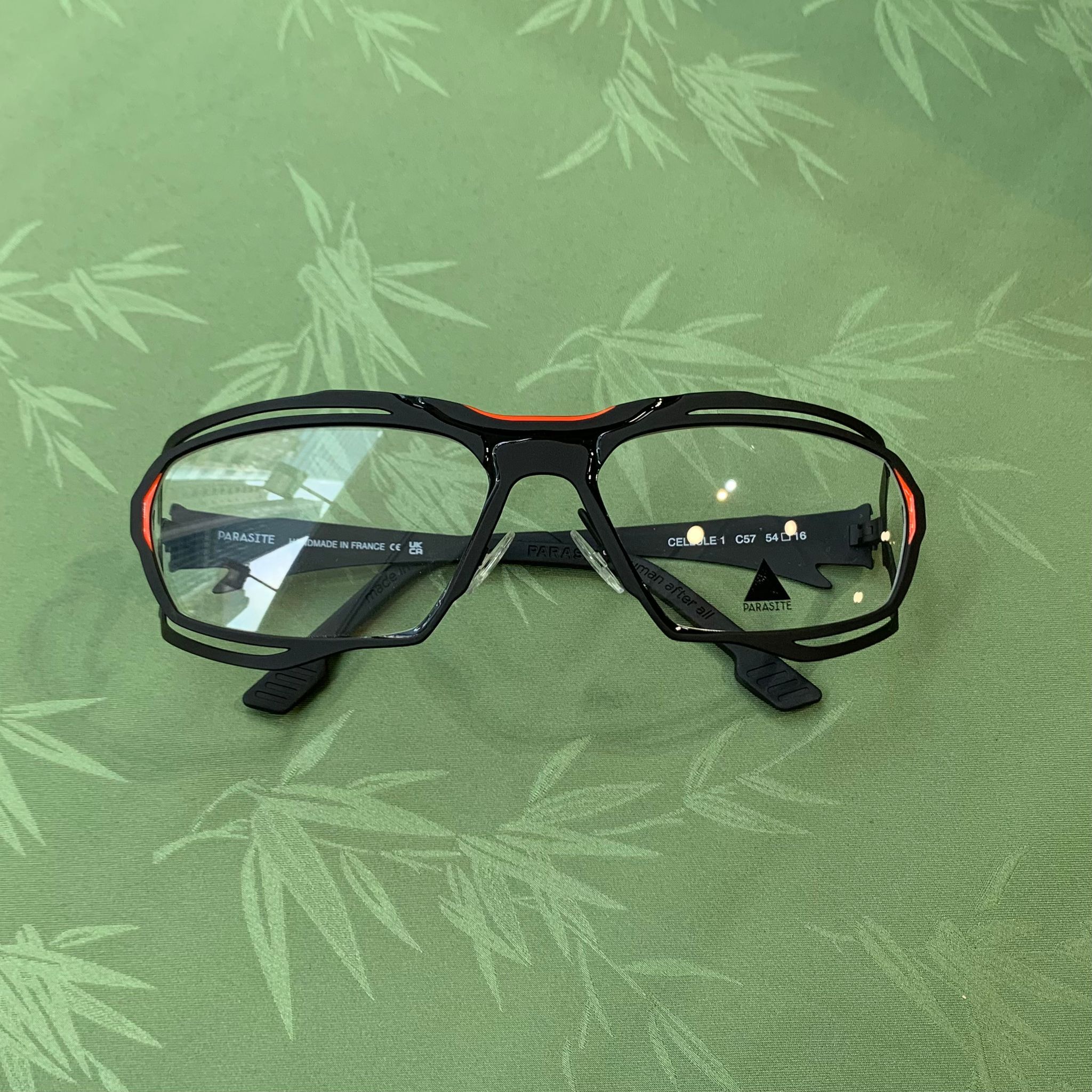 PARASITE CELLULE 1 C57