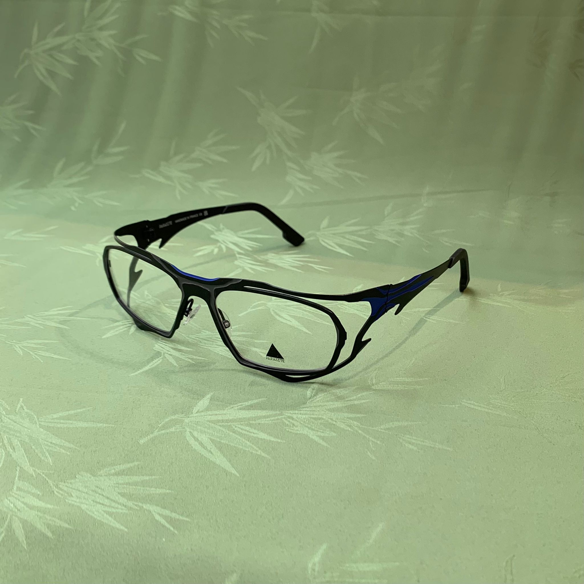 PARASITE CELLULE 1 C72