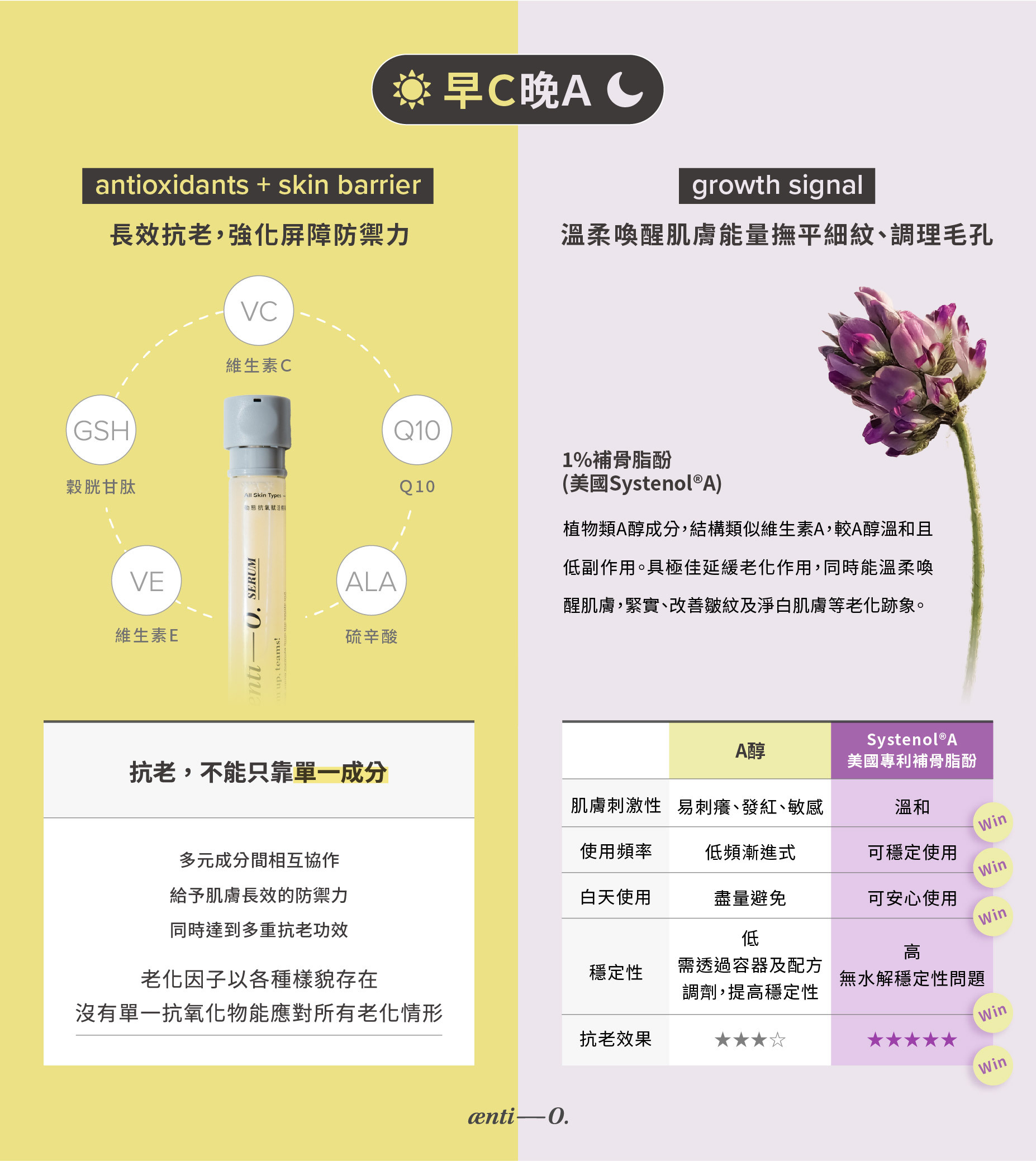 安提歐人氣產品-動態能量賦活精華，其中含五大抗氧化物、搭配植物類A醇「補骨脂酚」，一瓶解決早C晚A，達到溫和煥膚效果