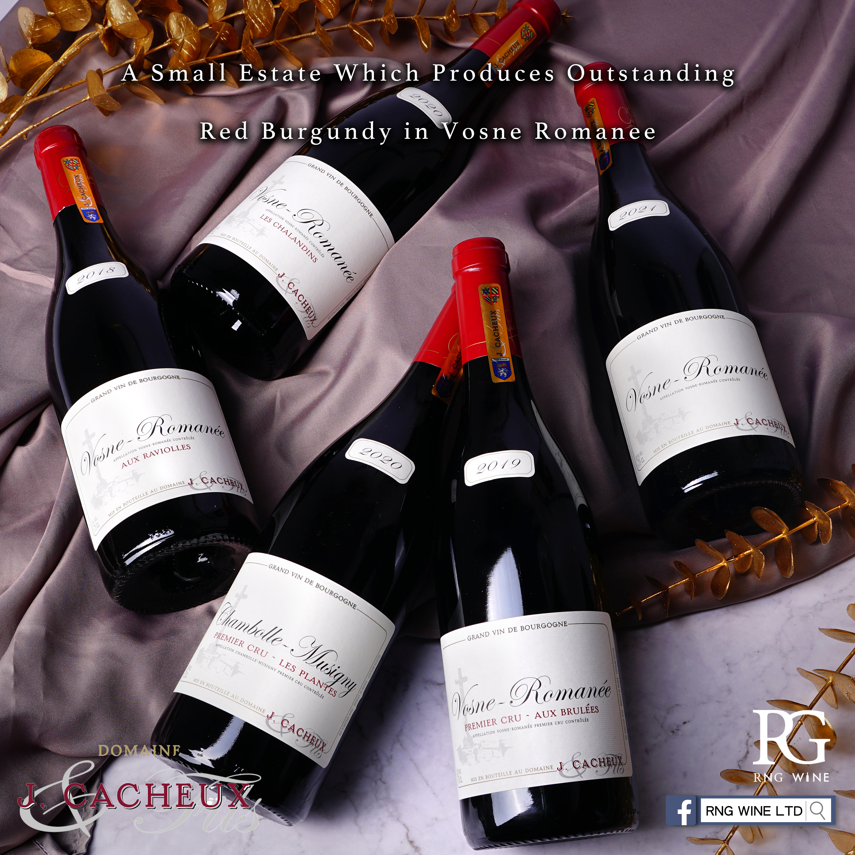 Jacques Cacheux Vosne Romanee Les Chalandins 2020