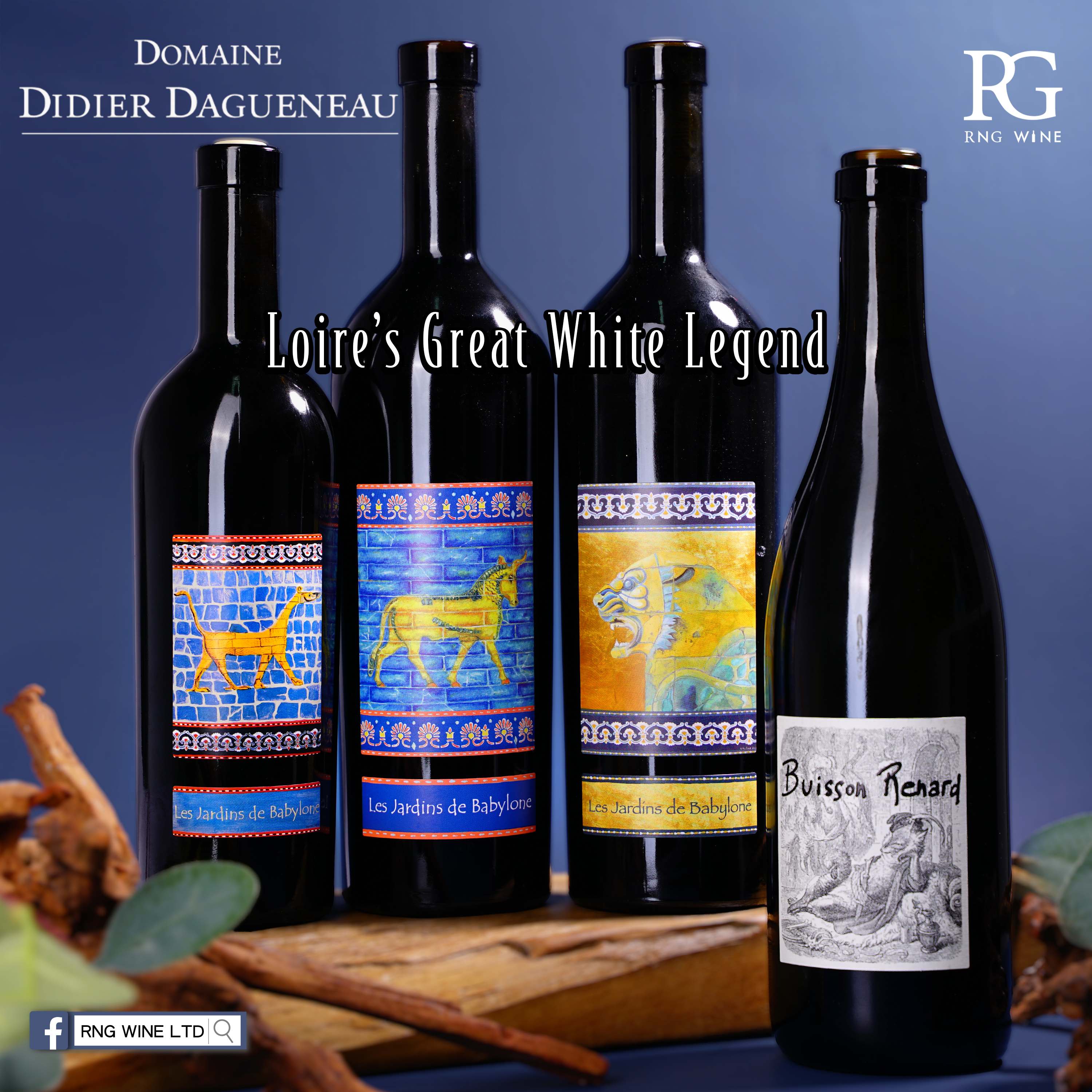 Dagueneau Les Jardins Babylone Jurancon 2010 (500ml)