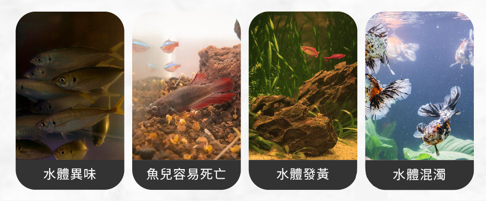 GEX 脫臭脫色活性碳能有效去除水中的異味與化學物質,並強力去除黃水和混濁,使水質清澈透明