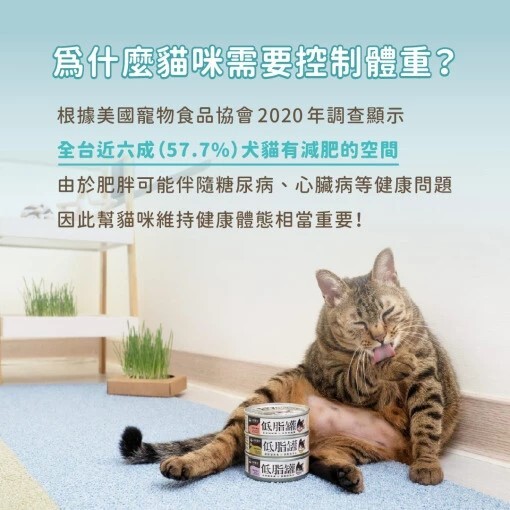 汪喵星球｜貓咪低脂罐 貓咪低脂無膠主食罐 體重控制 80g