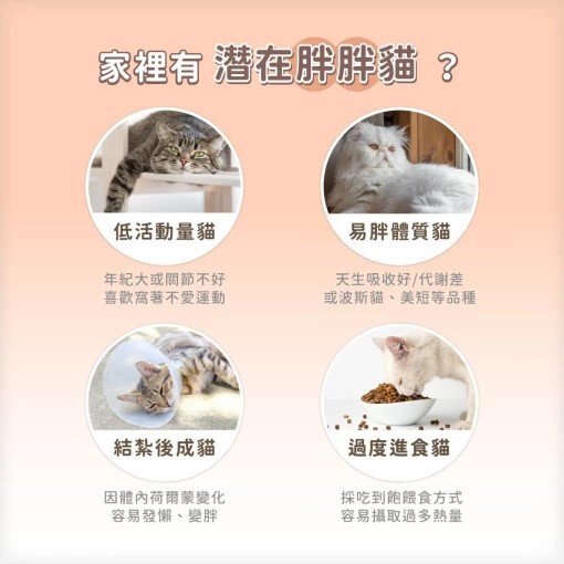 汪喵星球｜貓咪低脂罐 貓咪低脂無膠主食罐 體重控制 80g