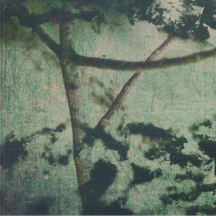 Gyrofield《Suspension Of Belief》（12"）