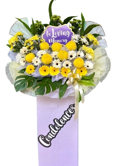 H175A⭐⭐⭐⭐⭐Member Discount