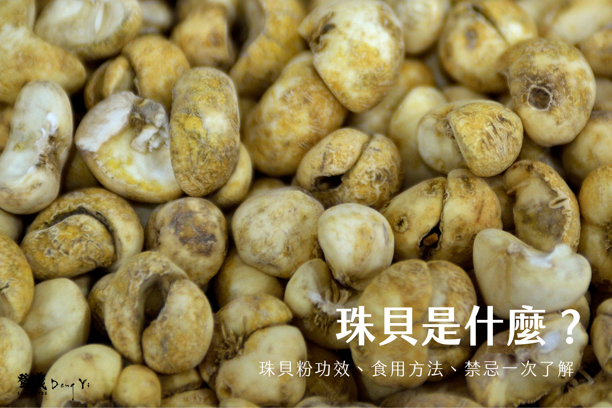 珠貝是什麼？珠貝粉功效、食用方法、禁忌一次了解