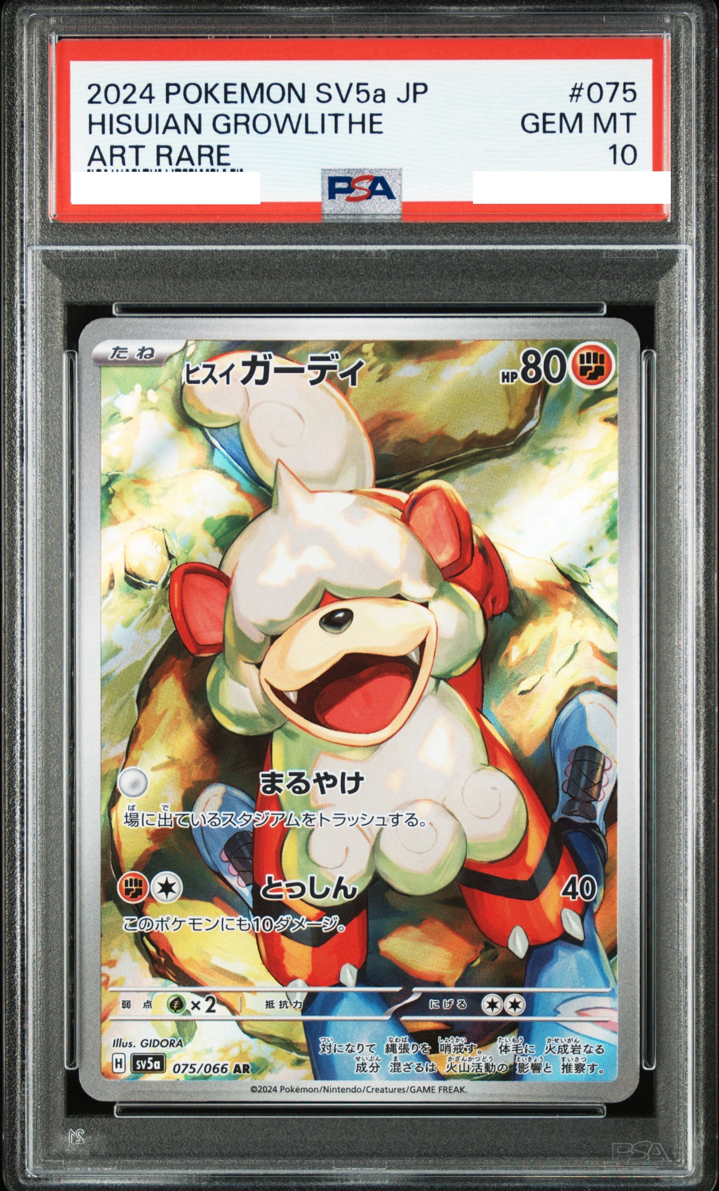 2024 POKEMON JAPANESE SV5A-CRIMSON HAZE #075 HISUIAN GROWLITHE ART RARE【PSA10】