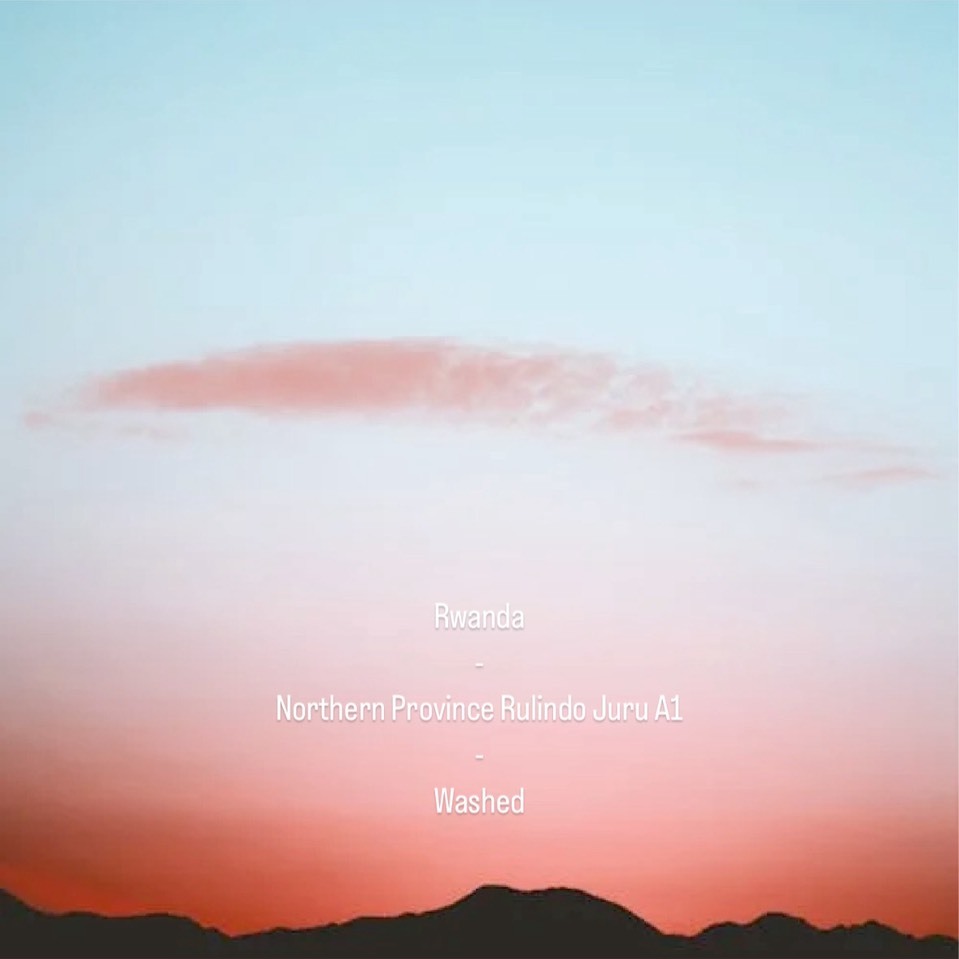 盧安達 北部省 如霖朶 天空之城 水洗 A1｜200g