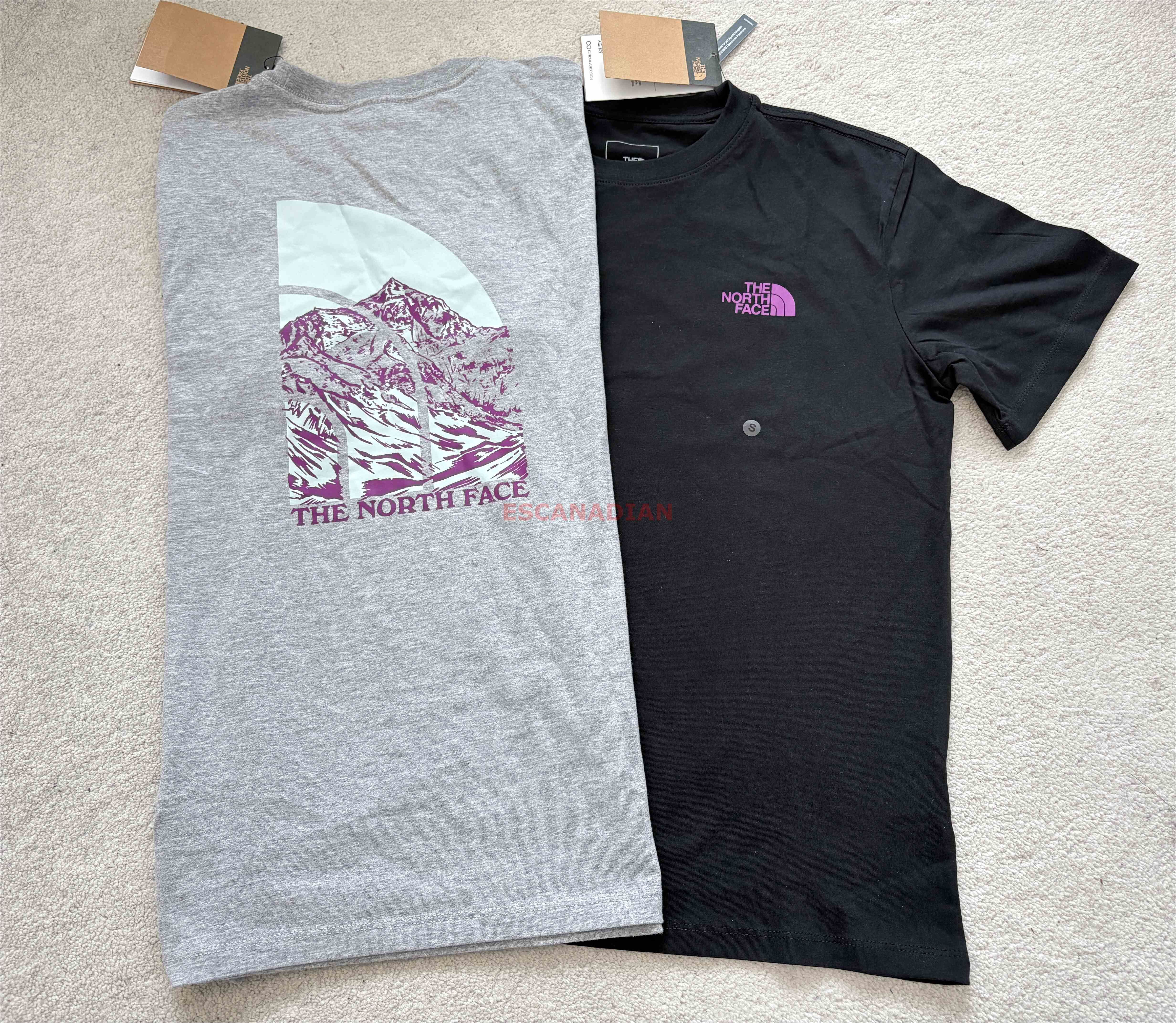 THE NORTH FACE 女大人 雪山圖案 短TEE (前LOGO後山脈) (2色)
