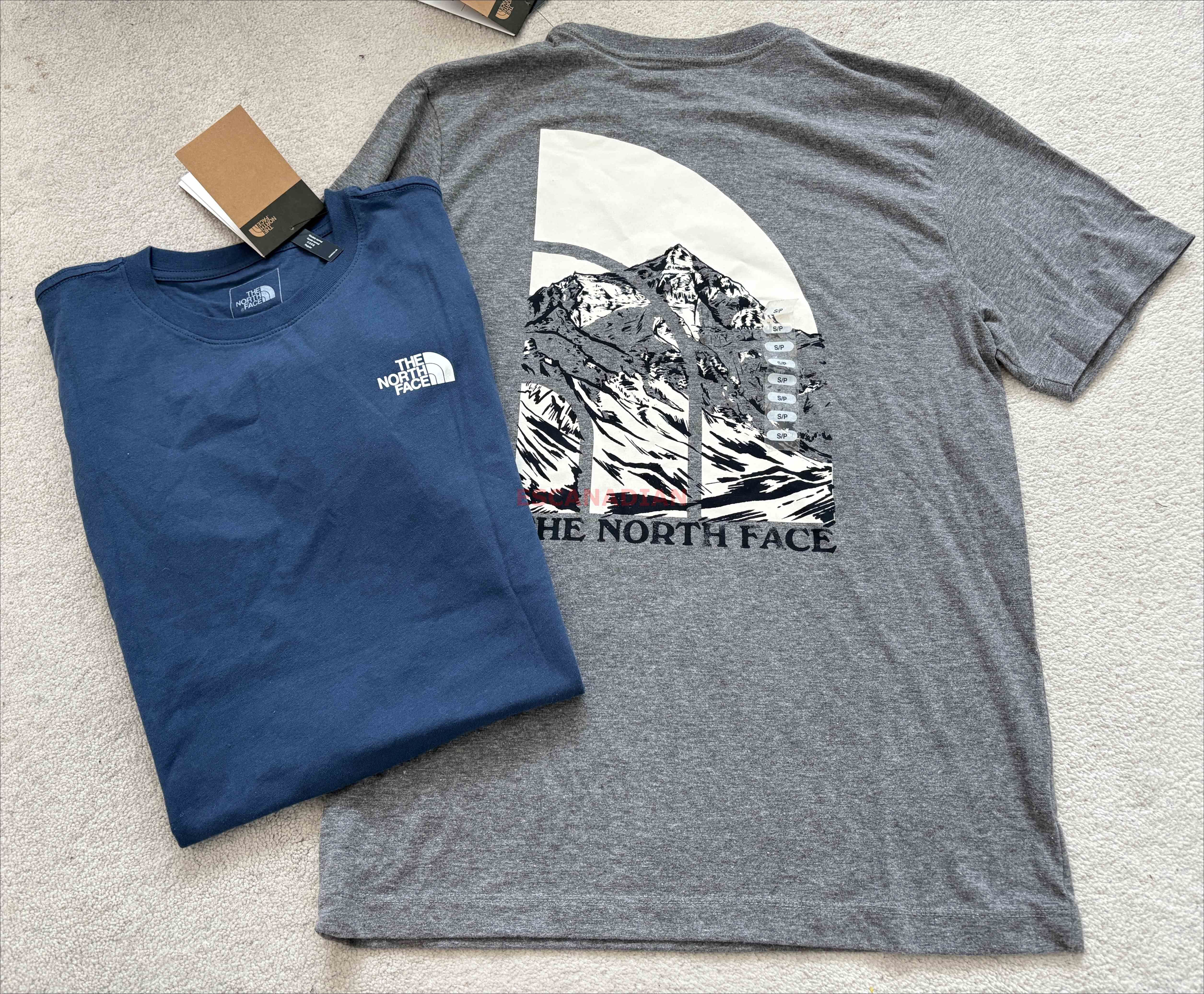 THE NORTH FACE 男大人 雪山圖案 短TEE (前LOGO後山脈) (2色)