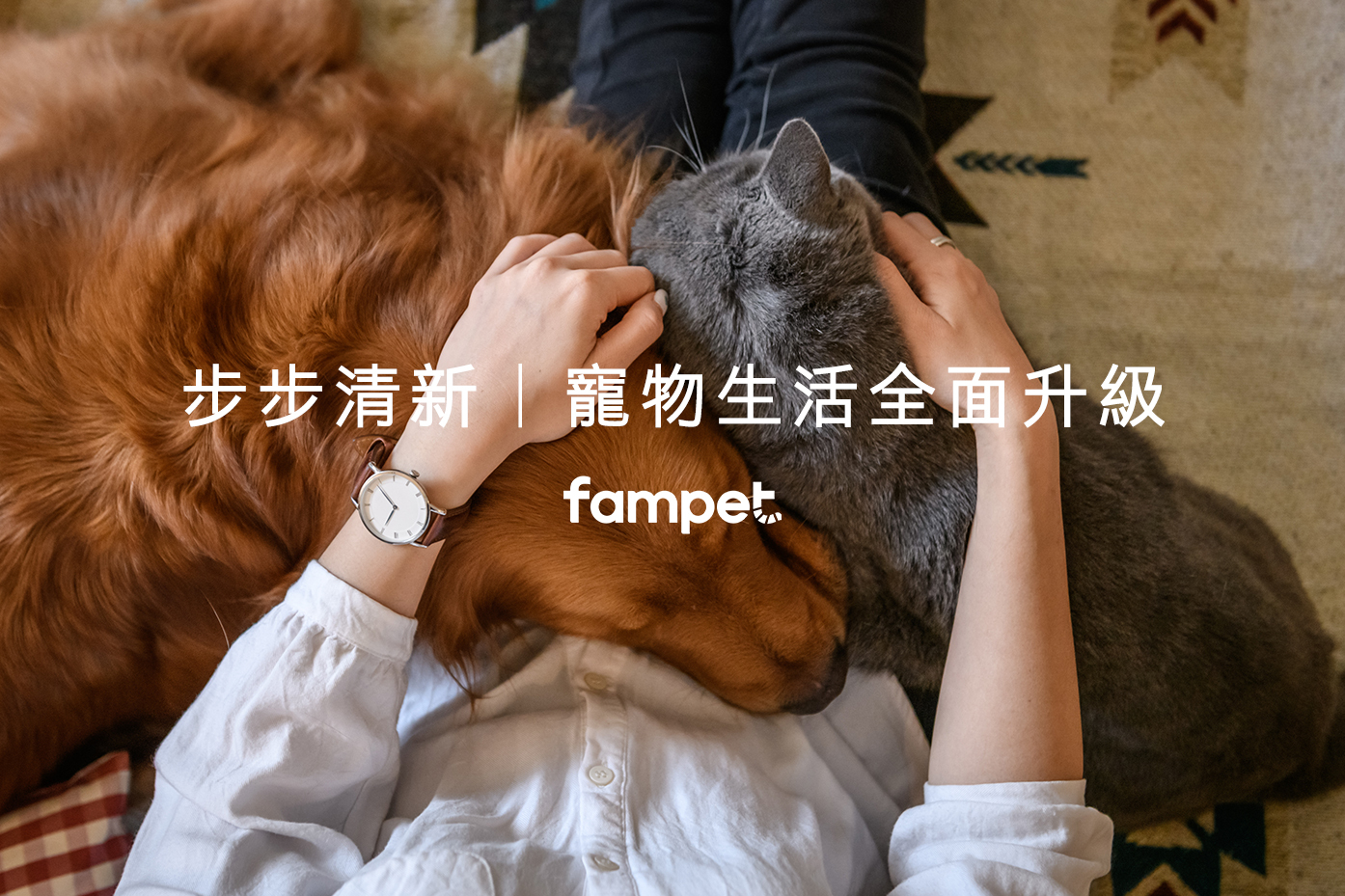寵物生活全面升級
