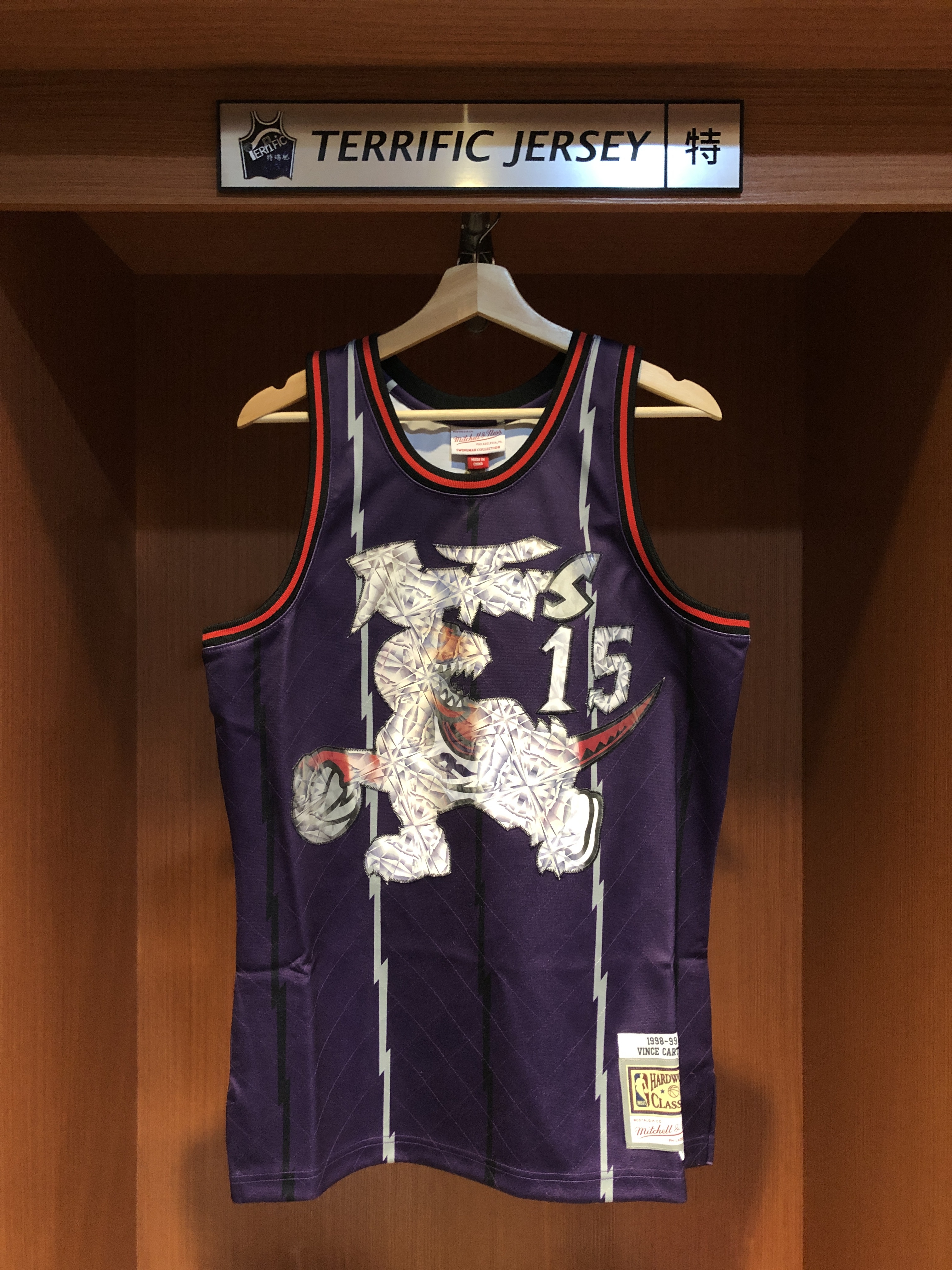 NBA球衣 Vince Carter 多倫多暴龍 紫大圖 00-01 75周年 光柵特效 M&N Swingman G2 球迷版 電繡 全新