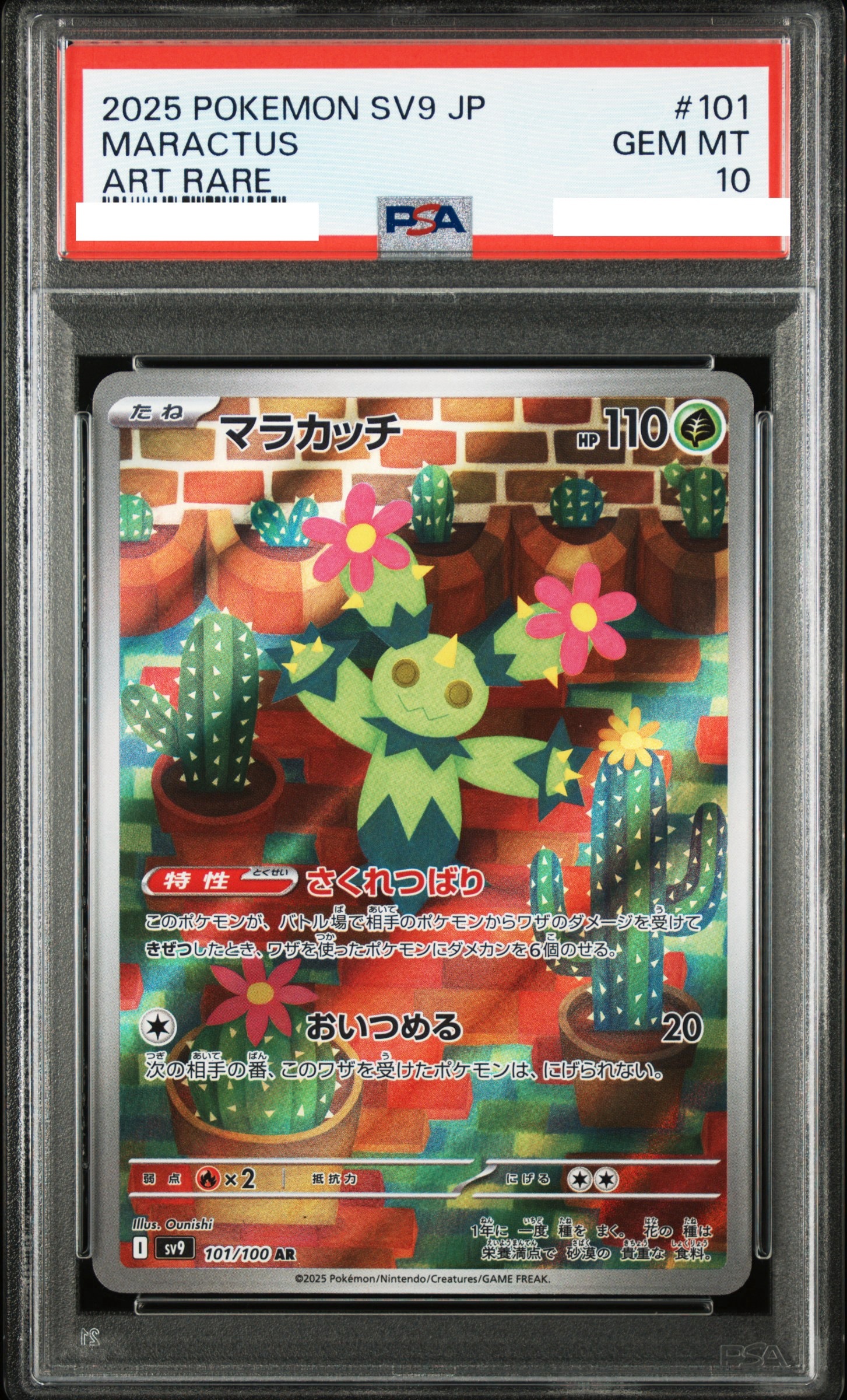 2025 POKEMON JAPANESE SV9-BATTLE PARTNERS #101 MARACTUS ART RARE【PSA10】