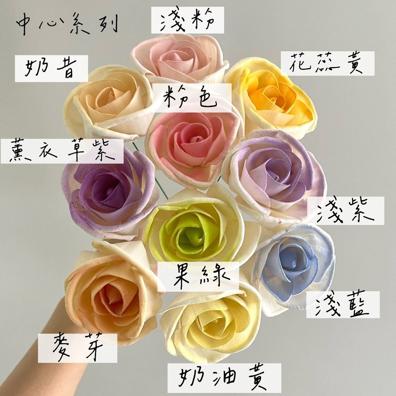 越南索拉花  薔薇玫瑰 6CM <十支一把>