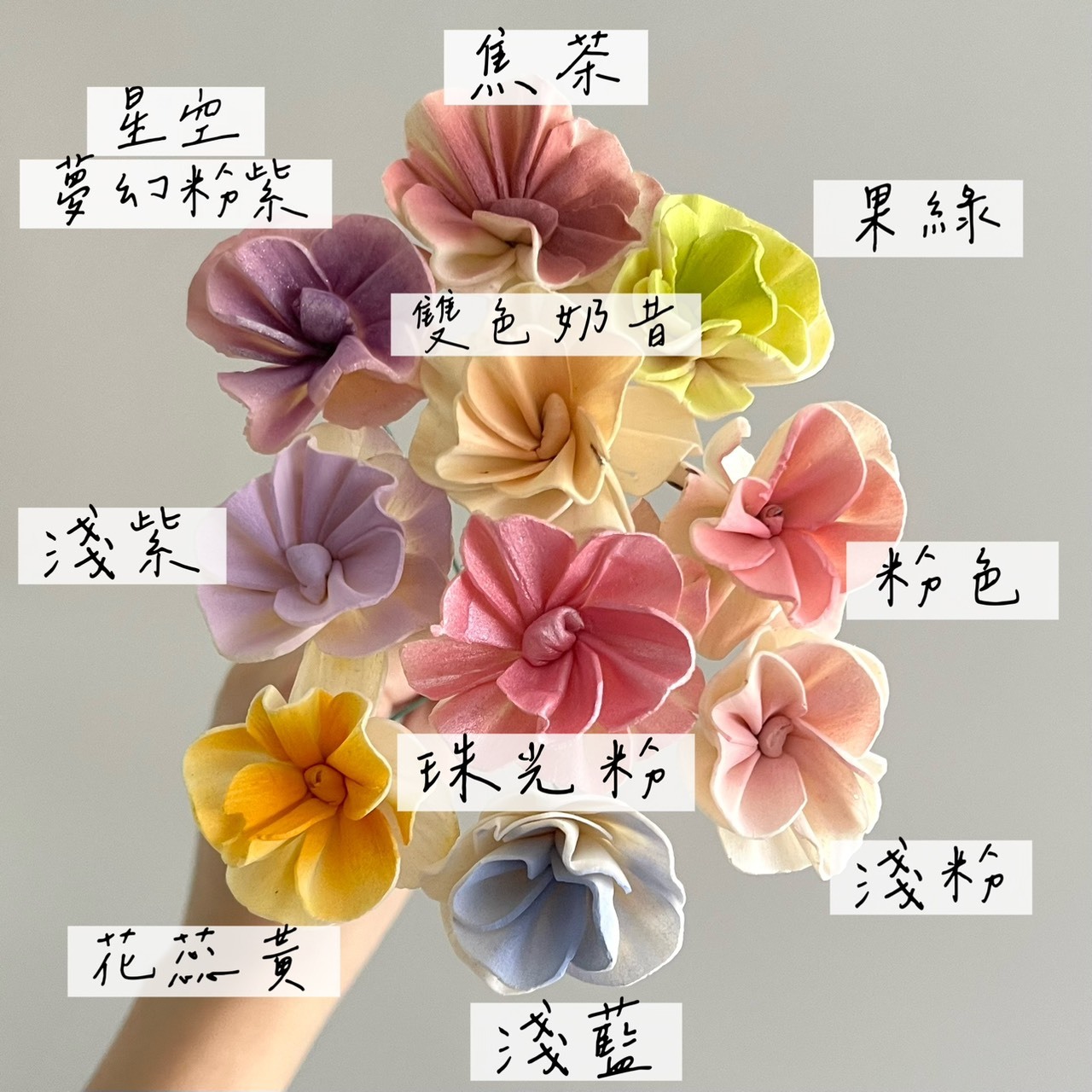 越南索拉花 繡球花瓣 4CM<十支一把>