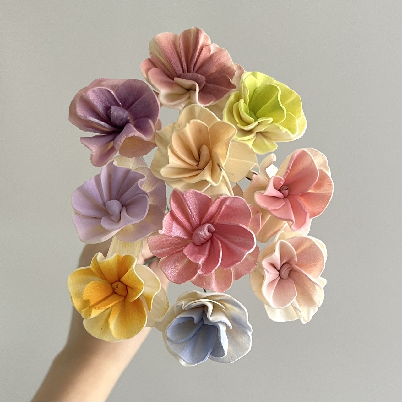 越南索拉花 繡球花瓣 4CM<十支一把>