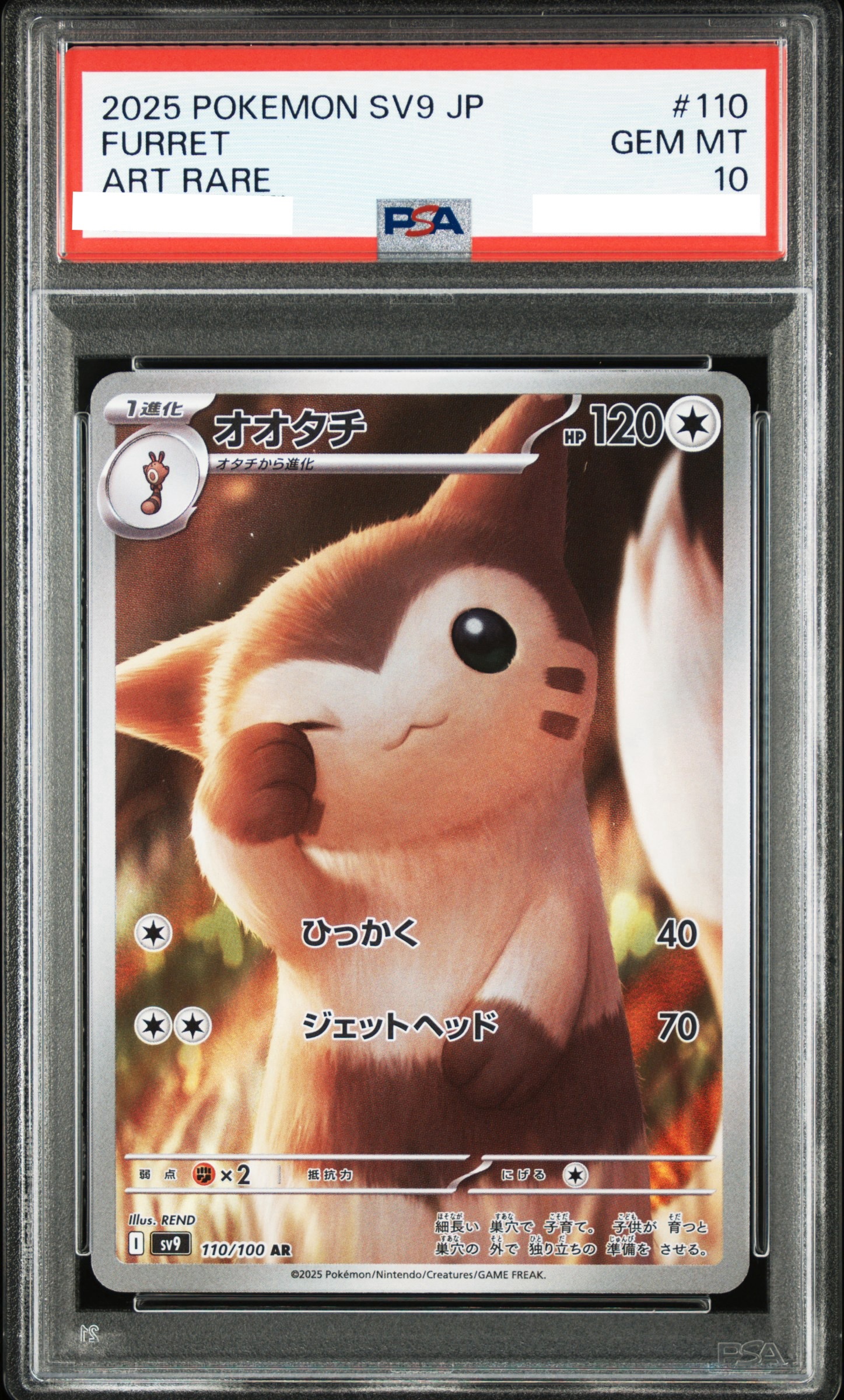 2025 POKEMON JAPANESE SV9-BATTLE PARTNERS #110 FURRET ART RARE【PSA10】