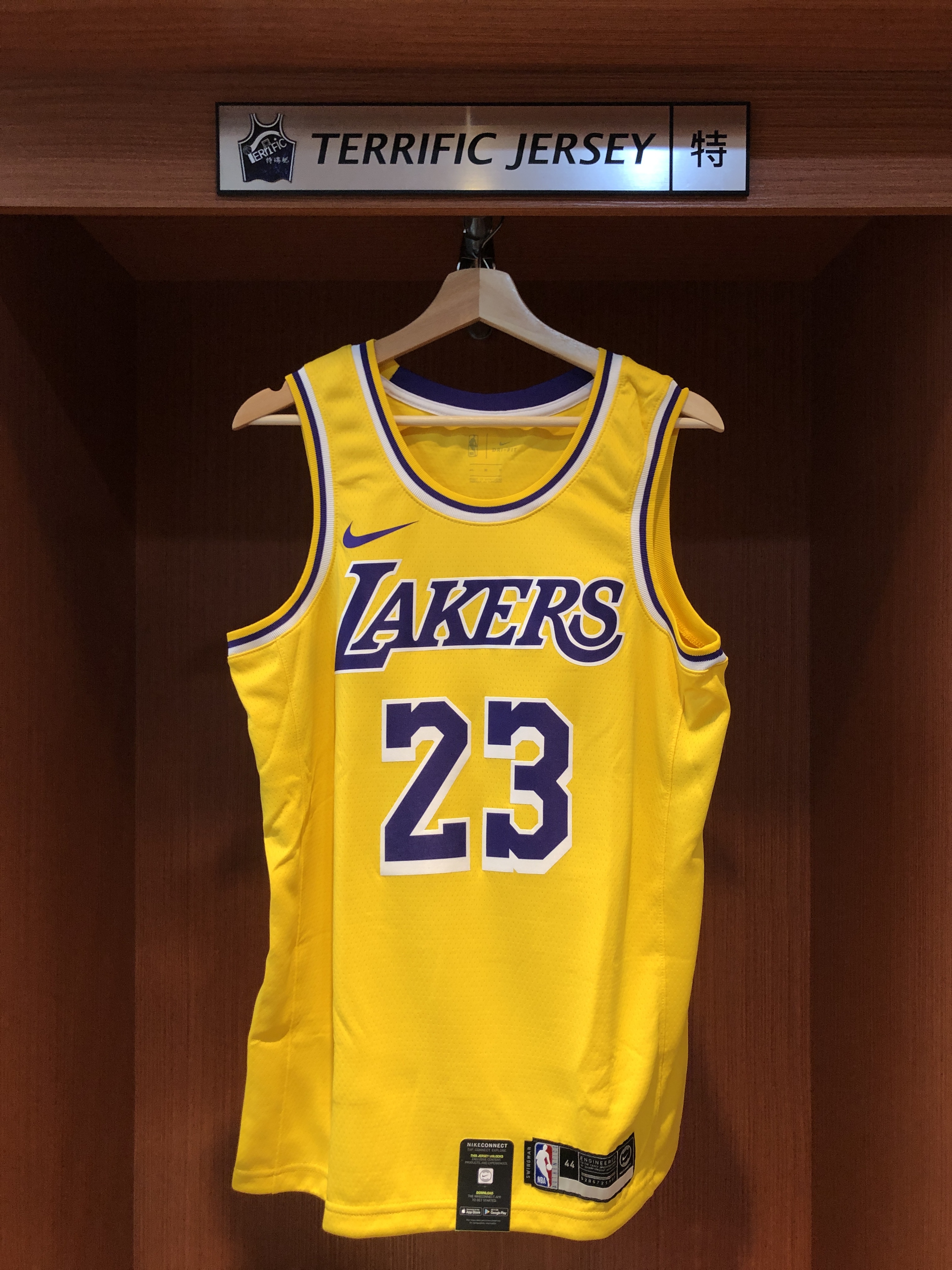 NBA球衣 Lebron James 洛杉磯湖人黃 舊版 Icon Nike Swingman 球迷版 熱轉印 全新