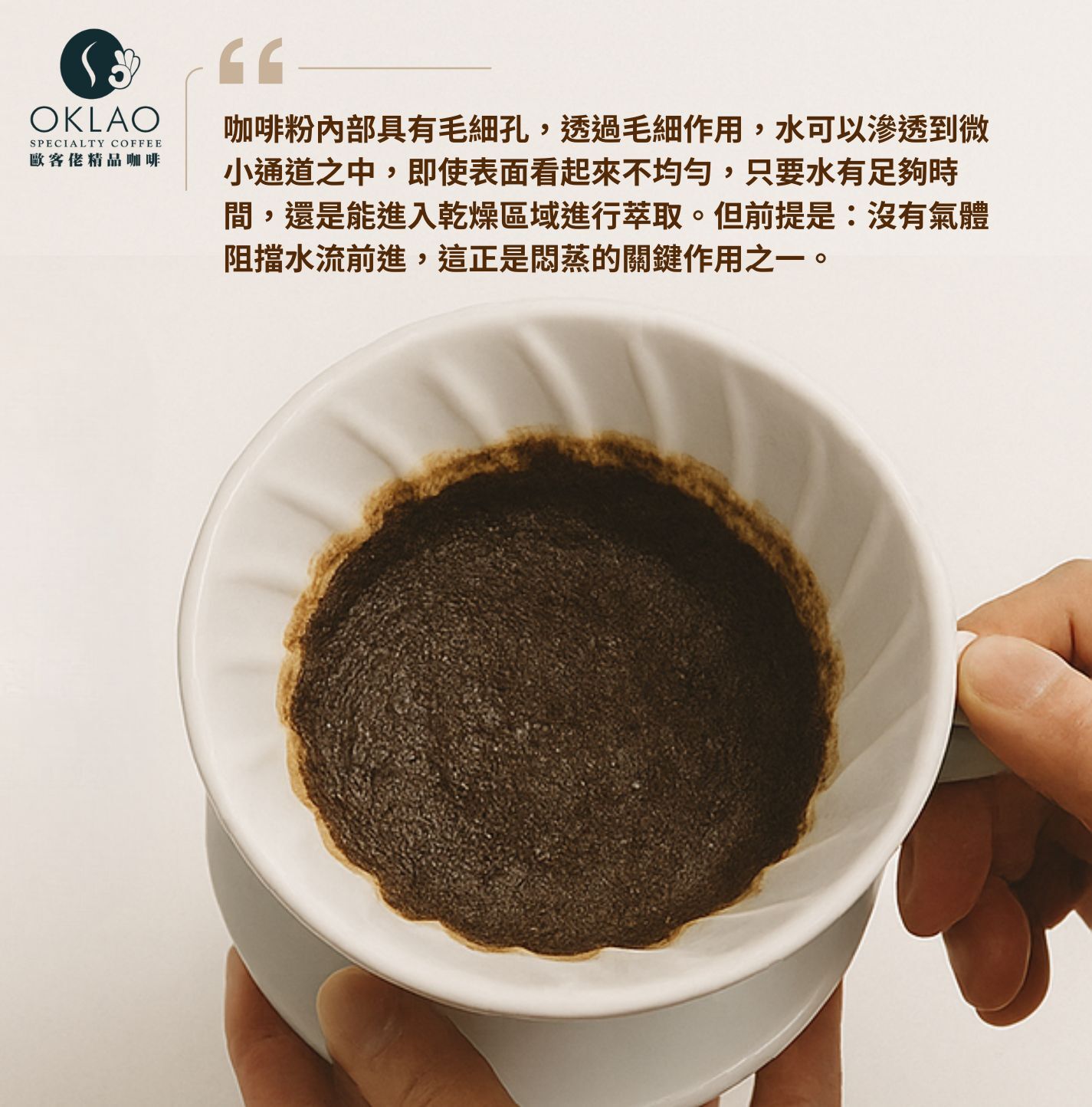 咖啡悶蒸 手沖悶蒸 咖啡悶蒸該怎麼做 咖啡悶蒸的好壞怎麼判斷 為什麼悶蒸很重要 什麼是悶蒸 精品咖啡 為什麼手沖咖啡要悶蒸 掛耳咖啡 咖啡禮盒