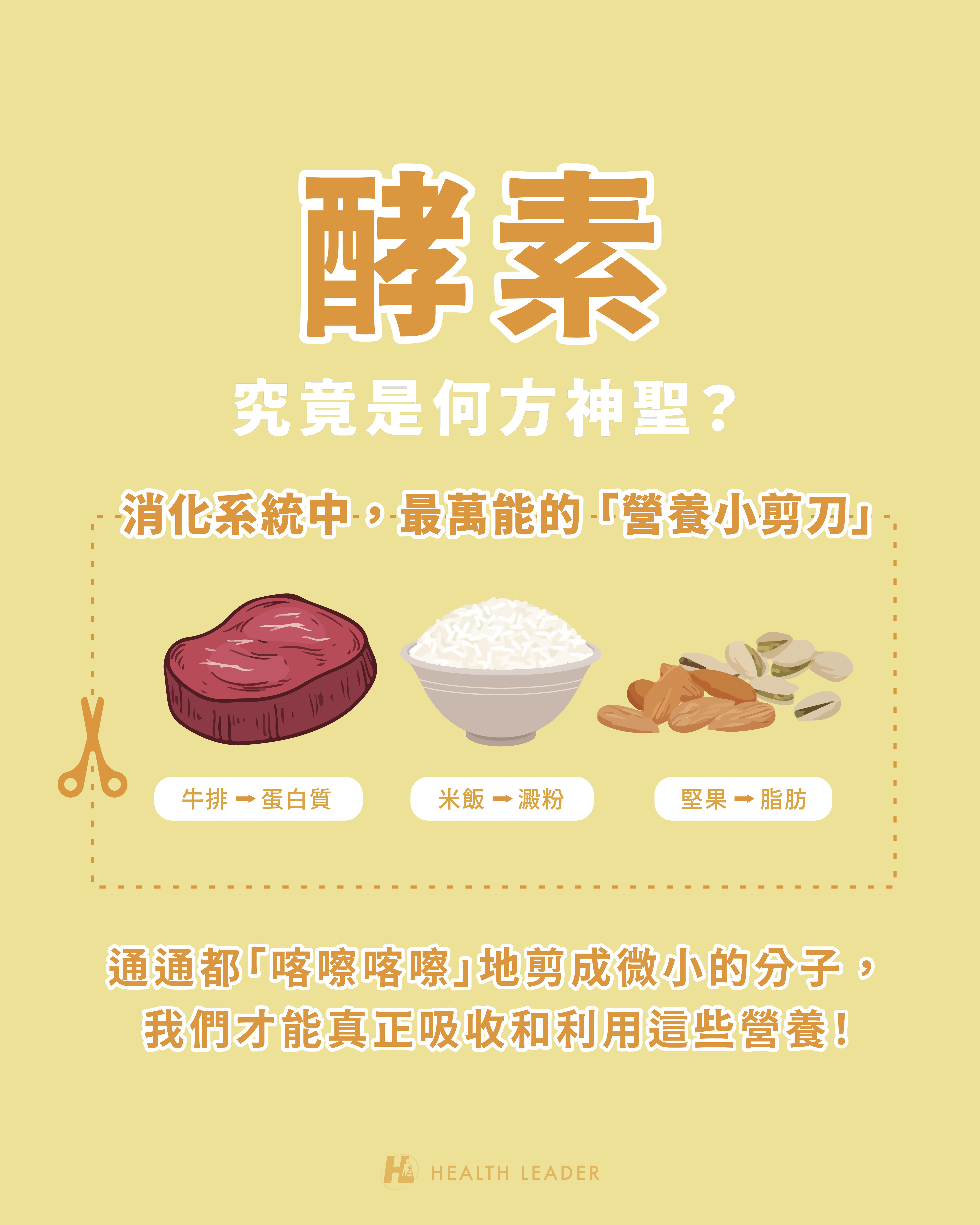 消化酵素功效