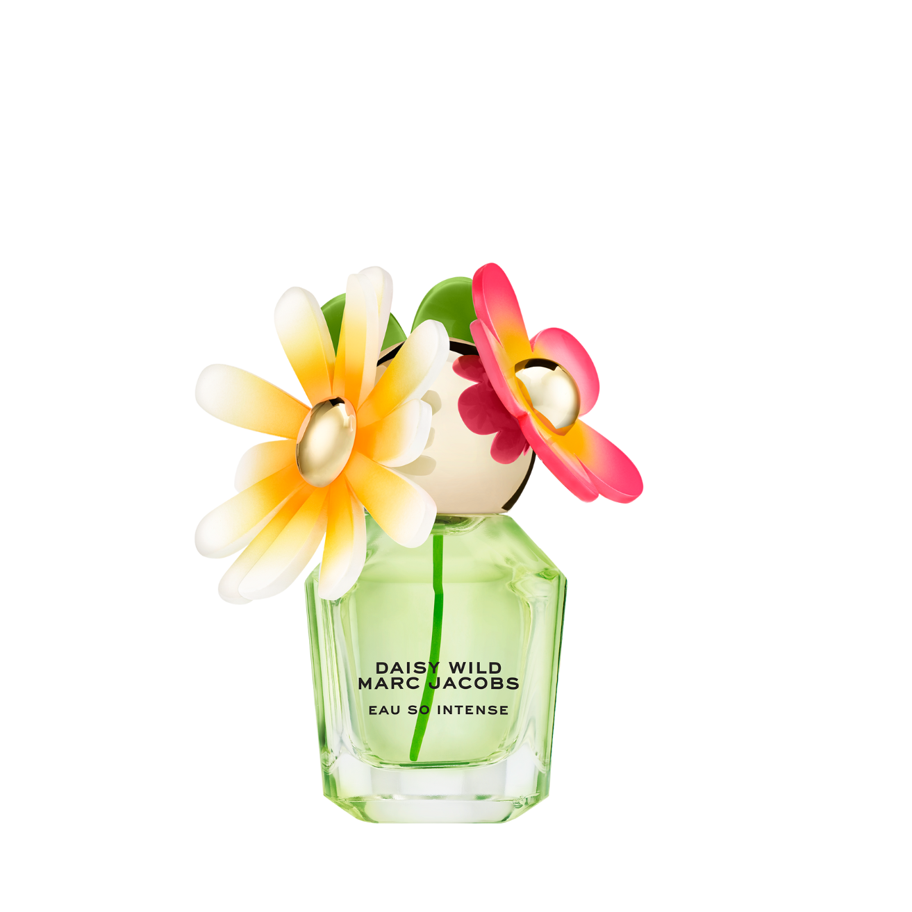 Marc Jacobs Daisy Wild Eau So Intense 香氛