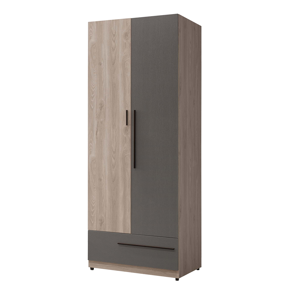 德特2.5尺工業風二門單抽衣櫃(單吊桿)