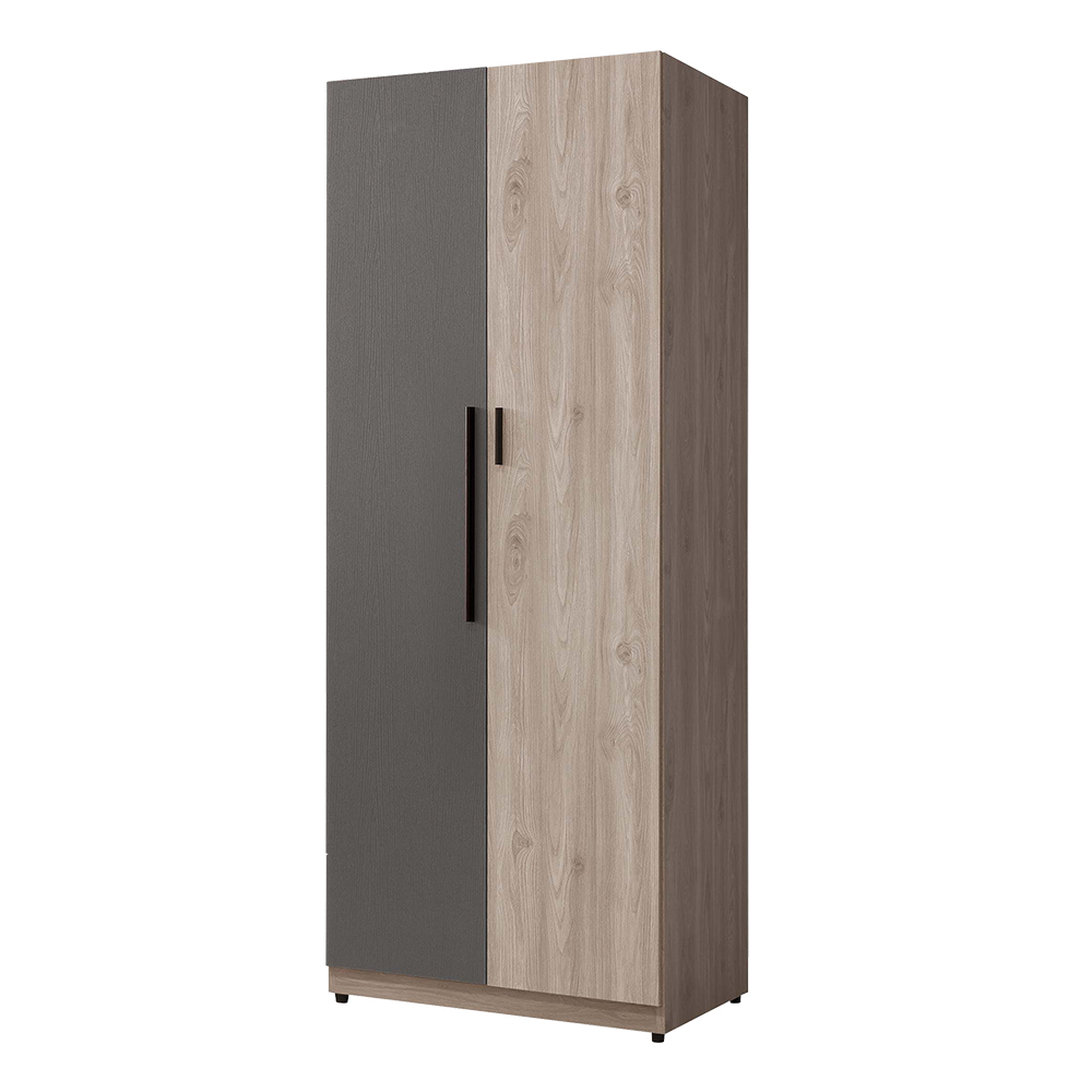 德特2.5尺工業風二門衣櫃(雙吊桿)