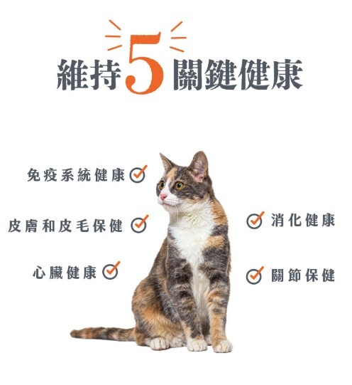 CANIDAE 良善 無穀全齡貓 貓飼料