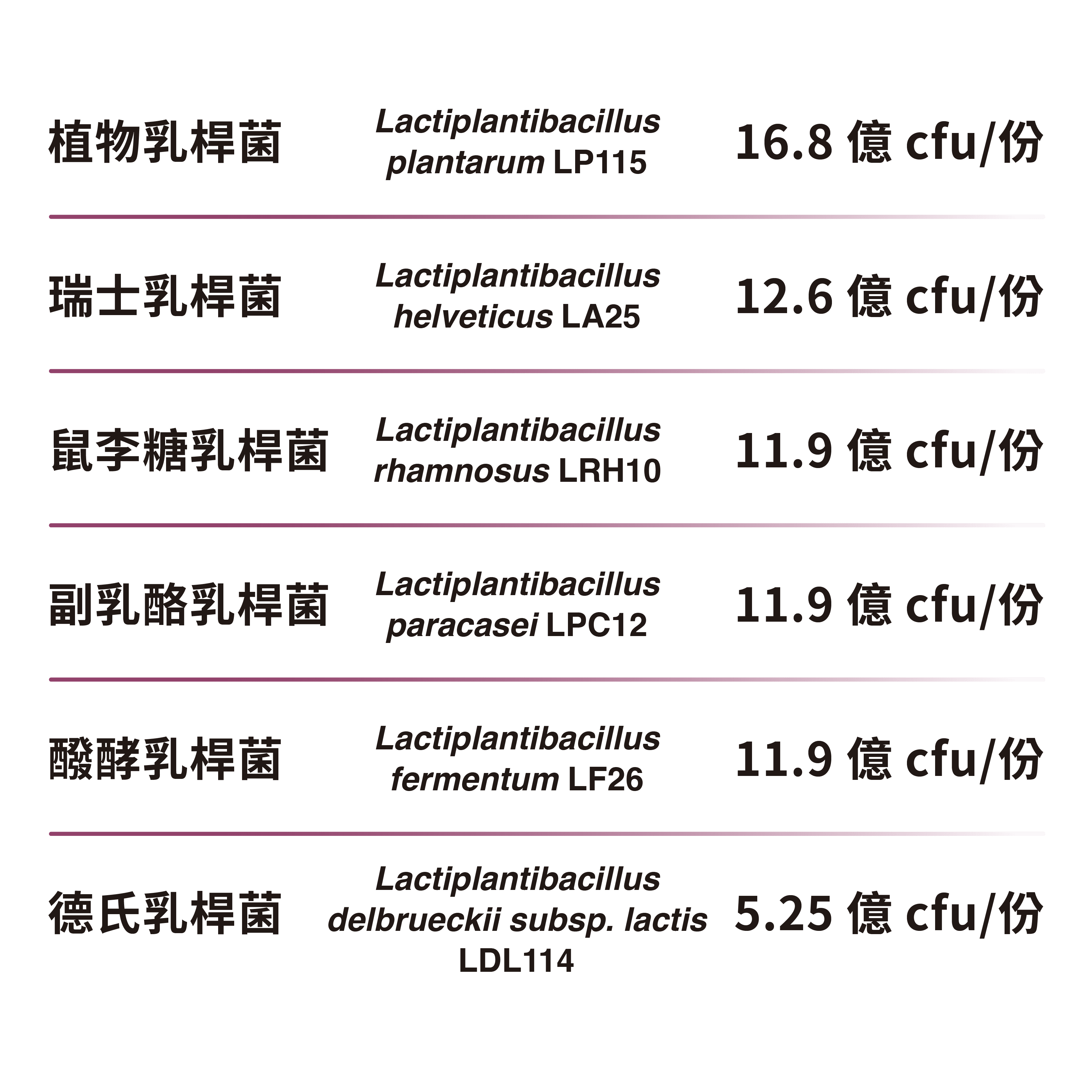 透明化菌株編號