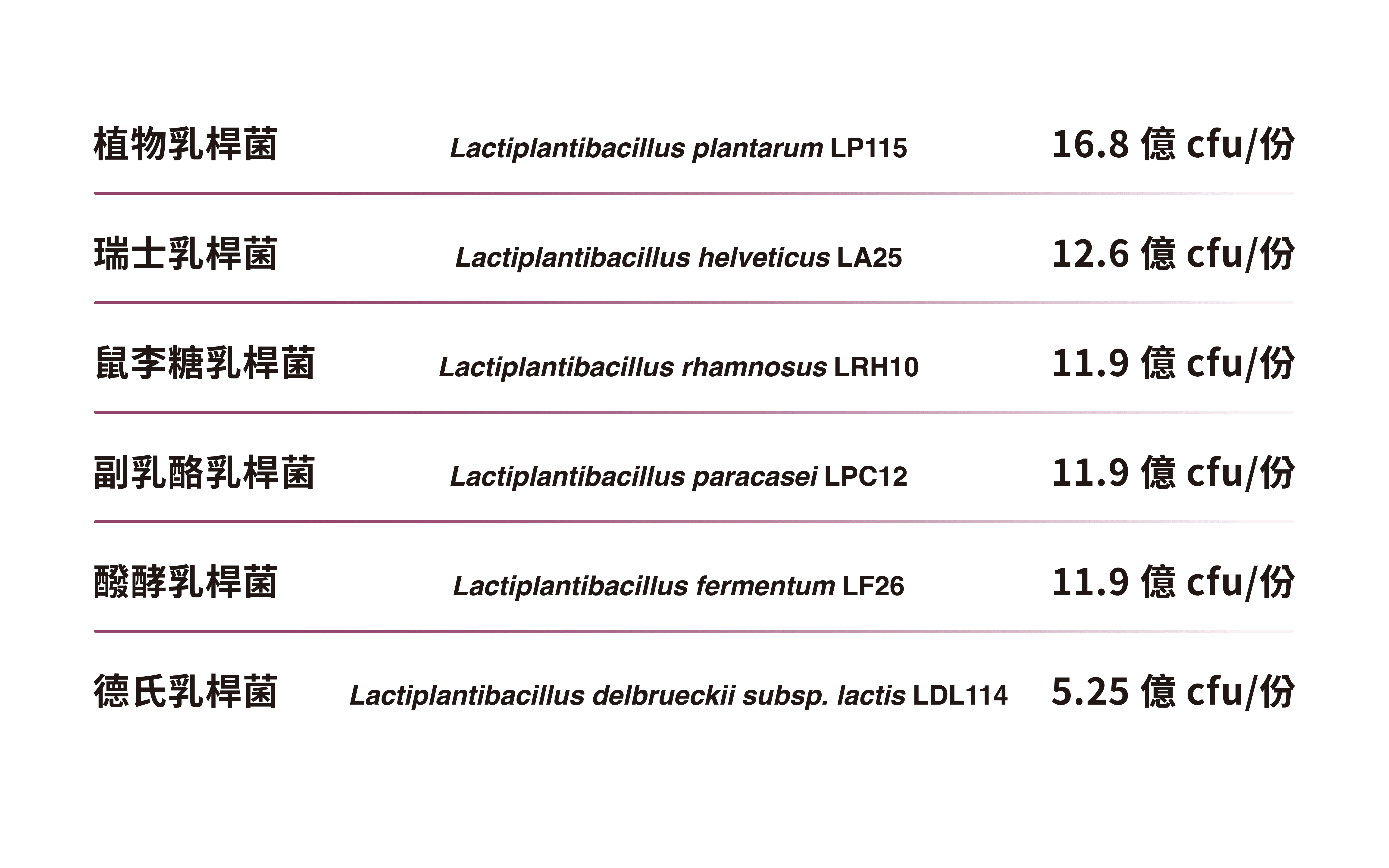 透明化菌株編號