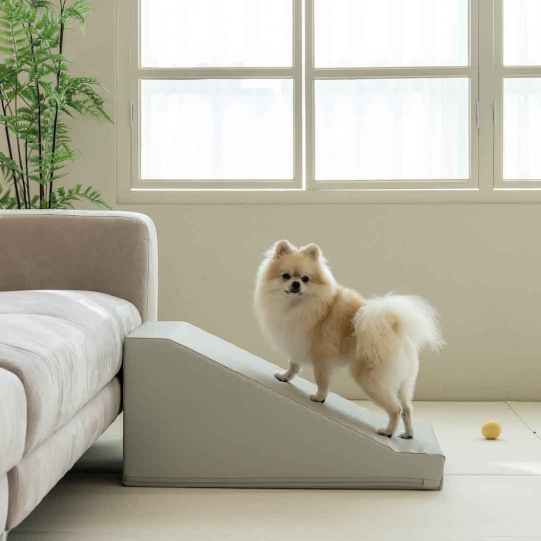 【升級】寵物防滑斜台(灰) M碼