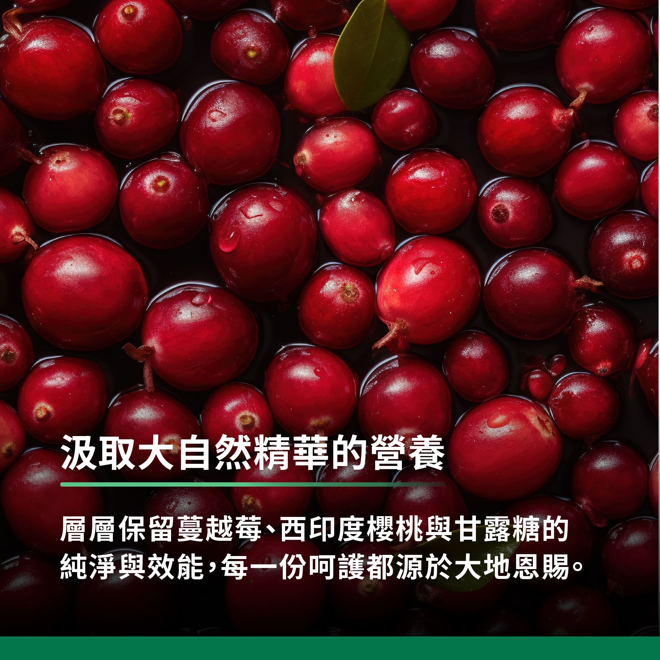 汲取大自然精華的營養