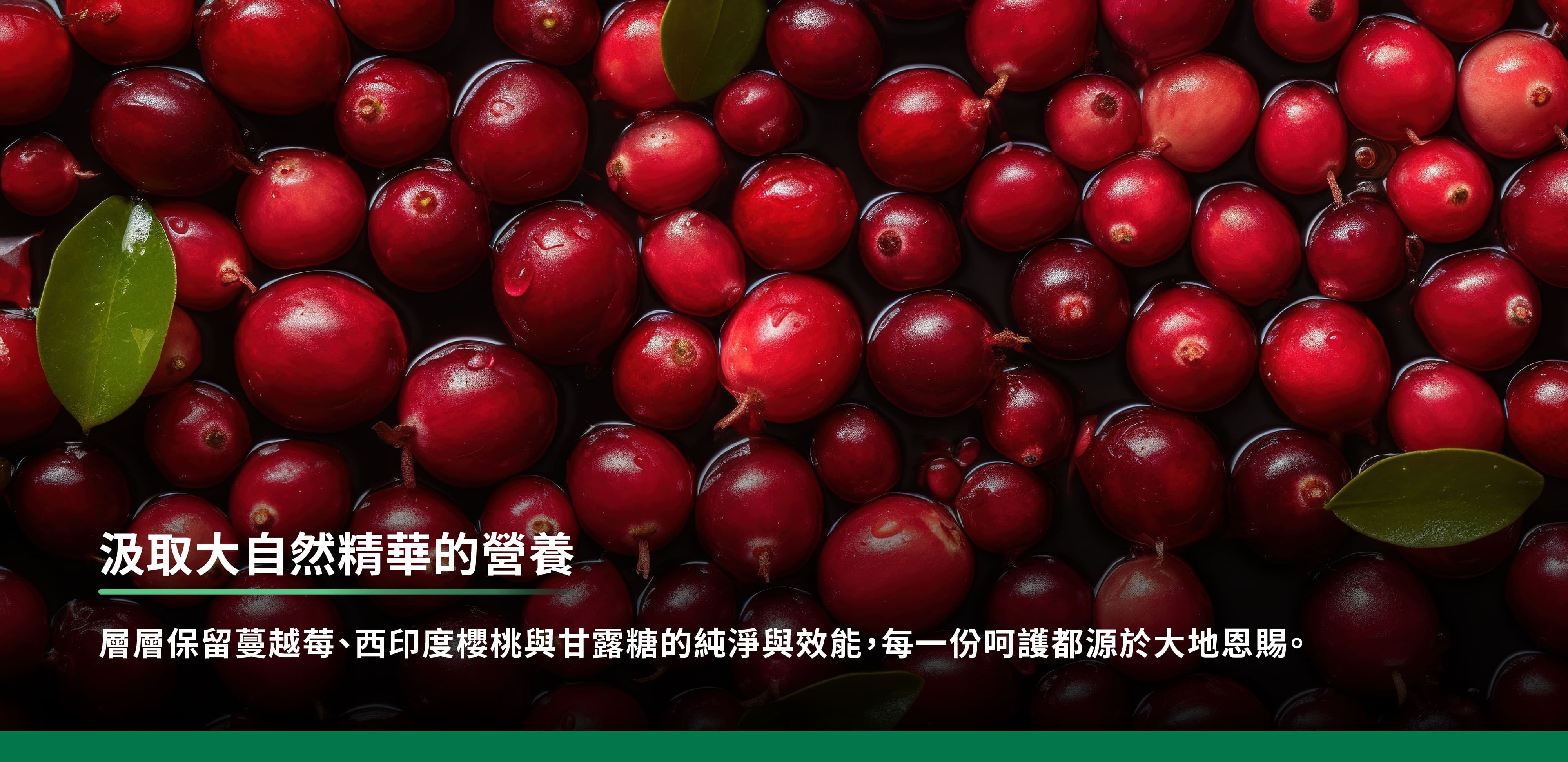 汲取大自然精華的營養
